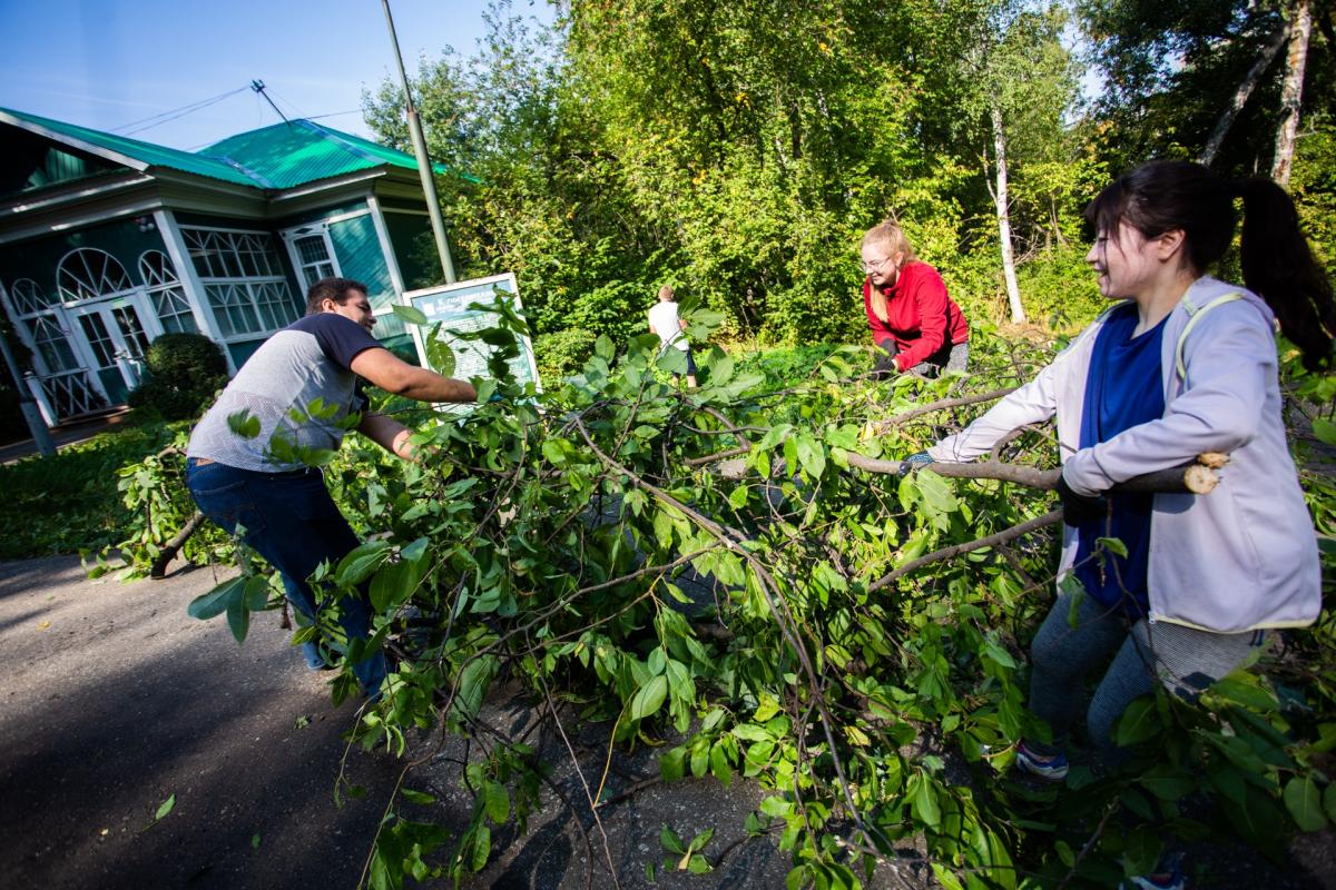 На базе ботсада прошел ежегодный международный волонтерский лагерь ТГУ |  Сибирский ботанический сад