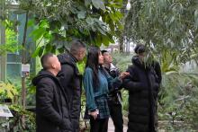В Сибирском ботаническом саду ТГУ впервые прошла экскурсия на китайском языке